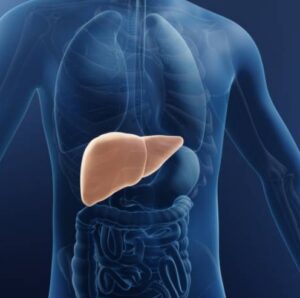 تشخیص کبد چرب از روی رگ دست