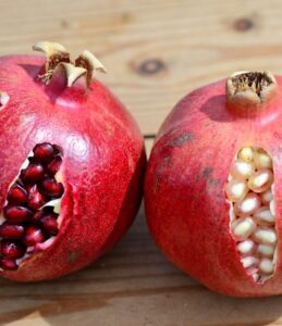 راز انتخاب و نگهداری میوه‌ها و سبزیجات تازه 🍊🥕🍅